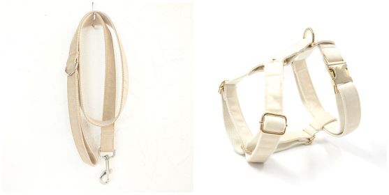 Dog collar traction rope (Option: Set-XL)
